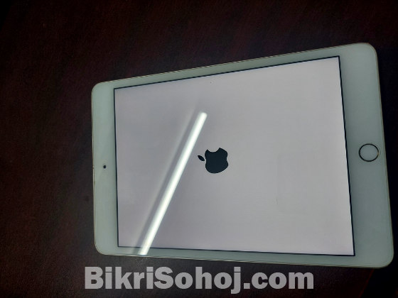 Ipad Mini 4 (Wifi) (iCloud Locked)